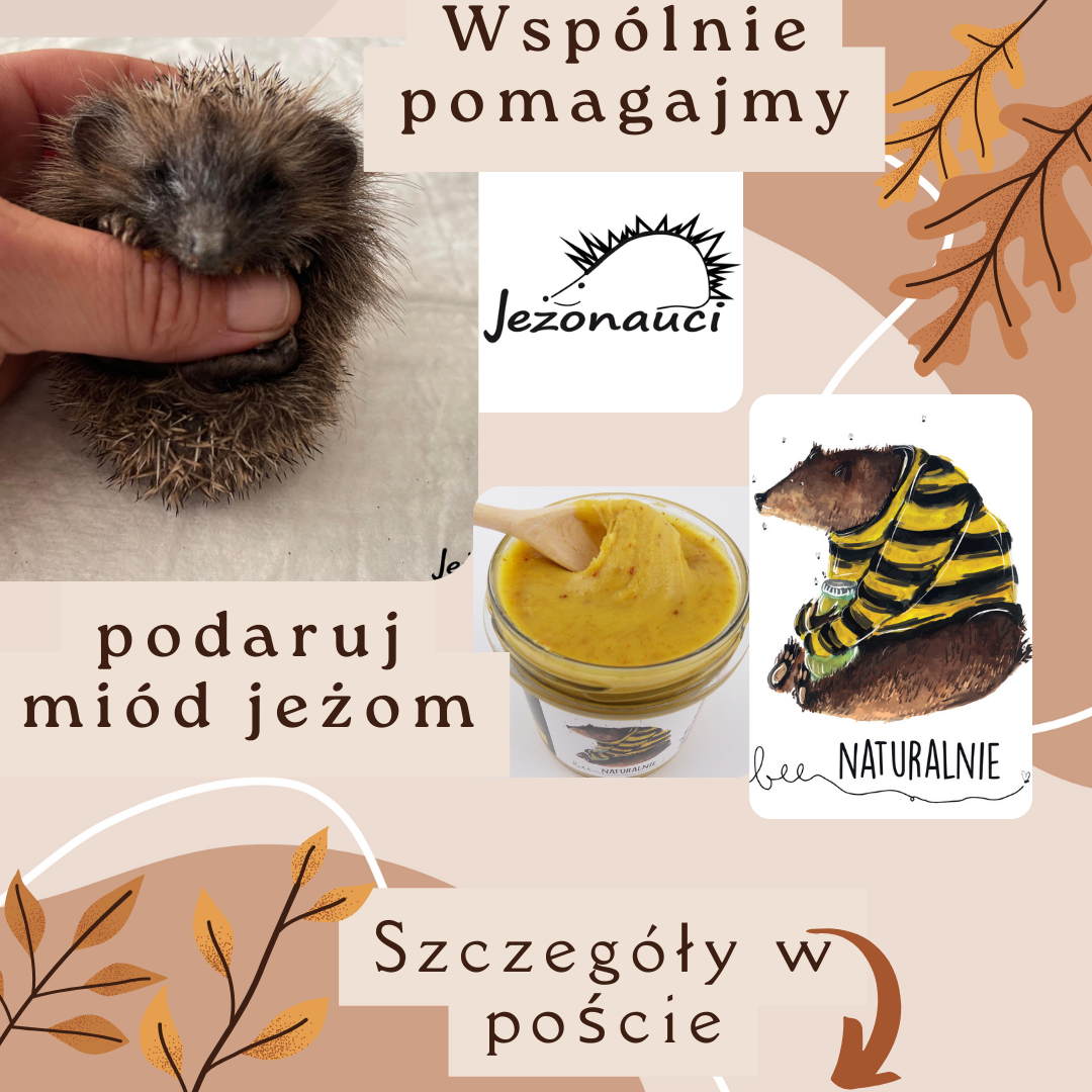 Dzień Jeża Pomagamy