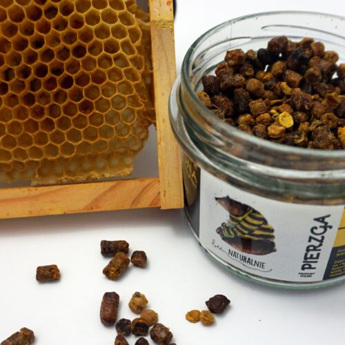 pierzga od góry z plastrem miodu od boku