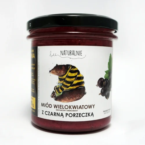 miód z czarnymi porzeczkami front