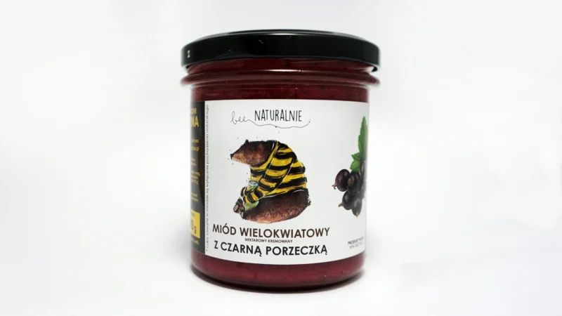 miód z czarnymi porzeczkami front