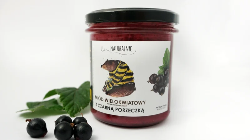 miód z czarnymi porzeczkami front z dodatkami
