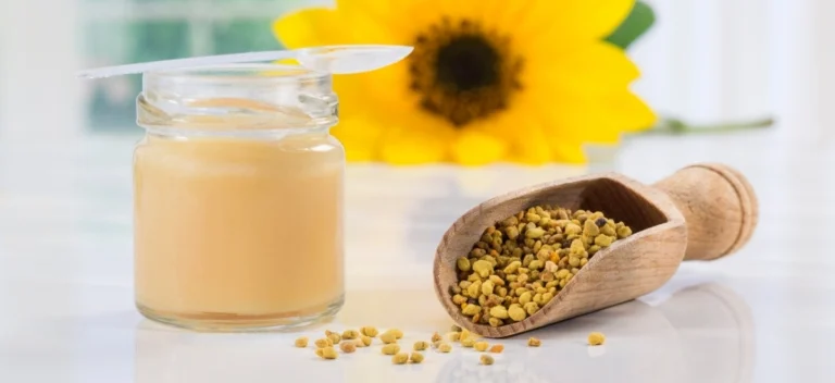 co to jest i jak działa mleczko pszczele