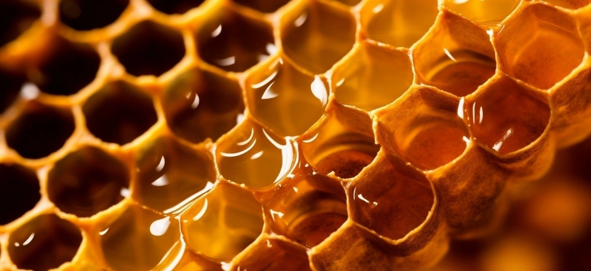 miody tradycyjne najchętniej kupowane w Polsce