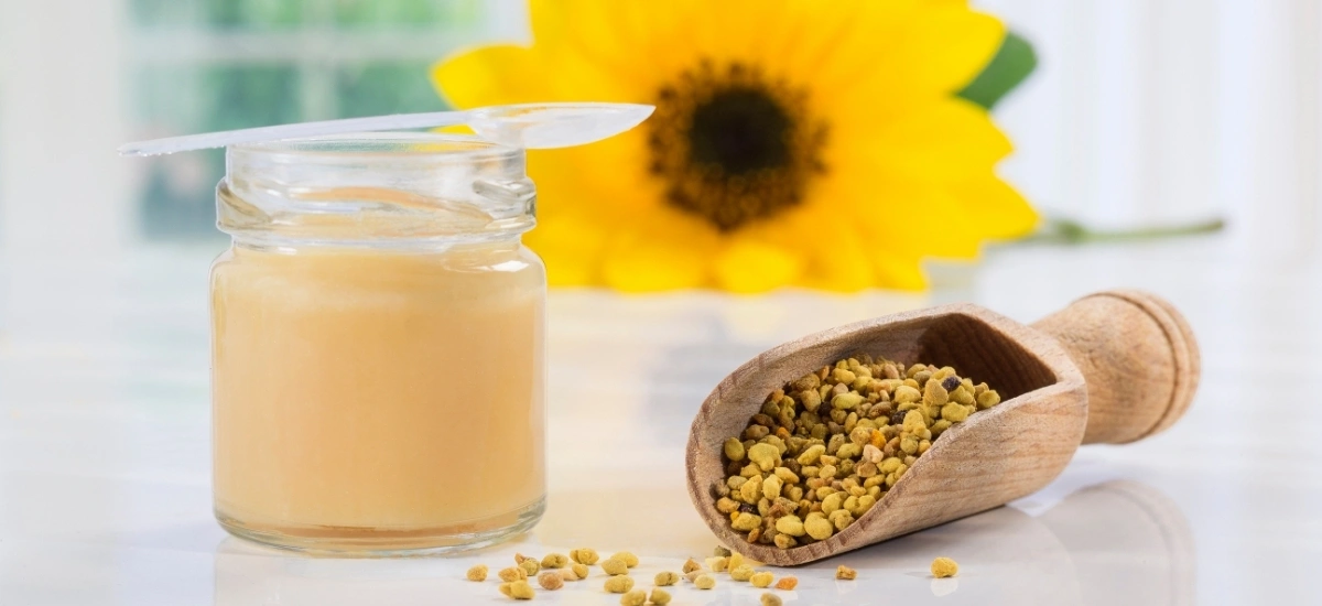 przeciwskazania do stosowania mleczka pszczelego