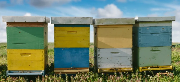 jakie role mają pszczoły w ulu